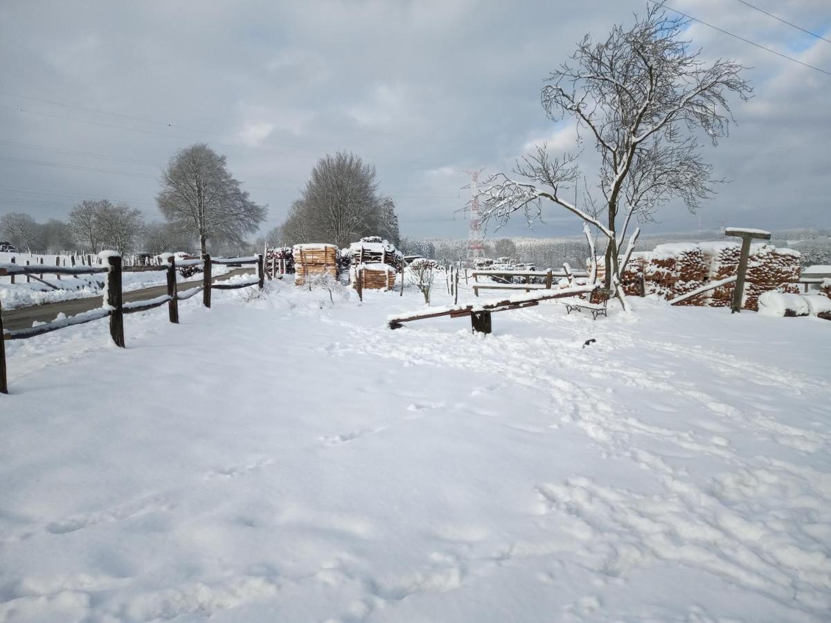 Gite Le Cheval Ardennais Gouvy Exteriör bild