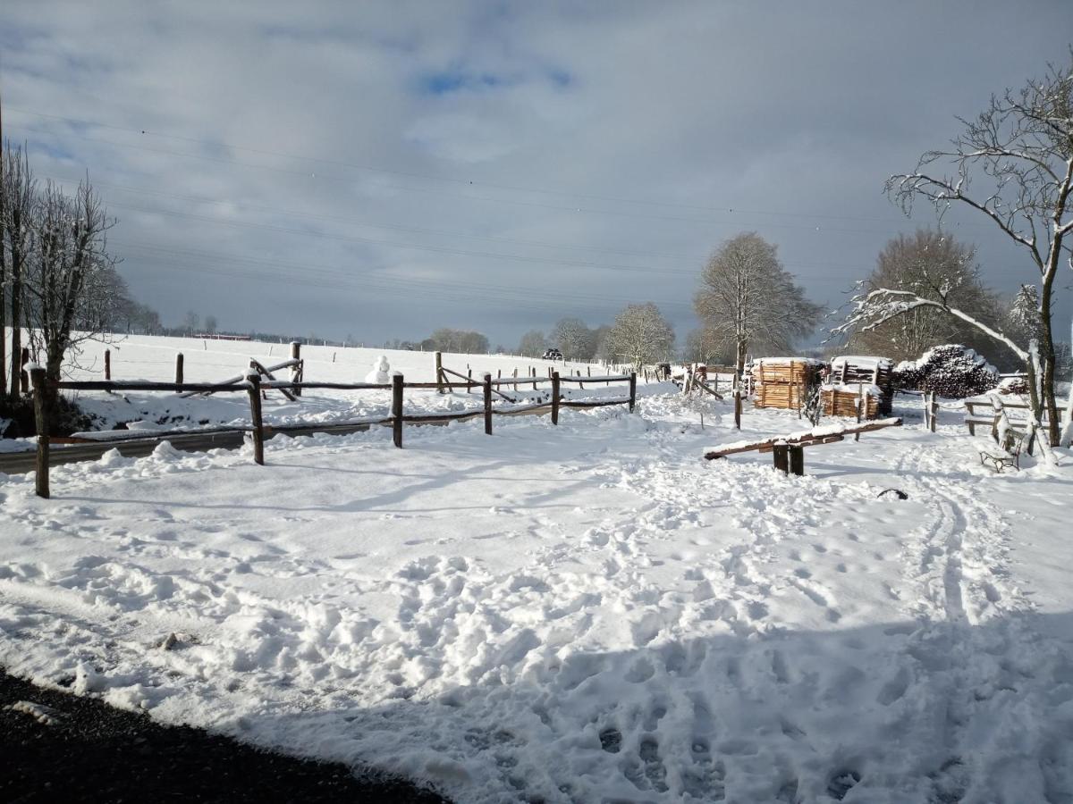 Gite Le Cheval Ardennais Gouvy Exteriör bild
