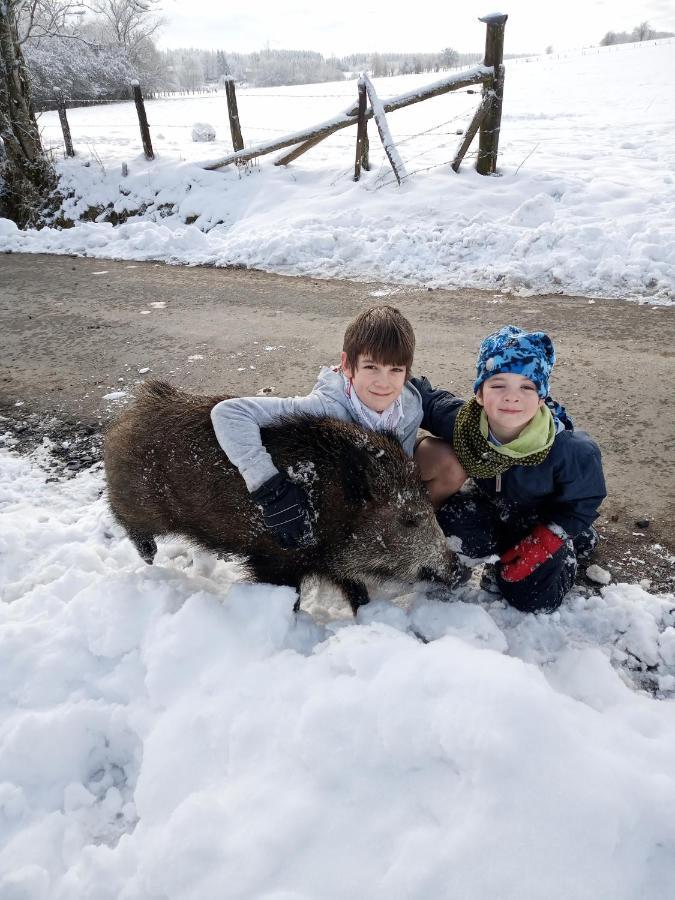 Gite Le Cheval Ardennais Gouvy Exteriör bild