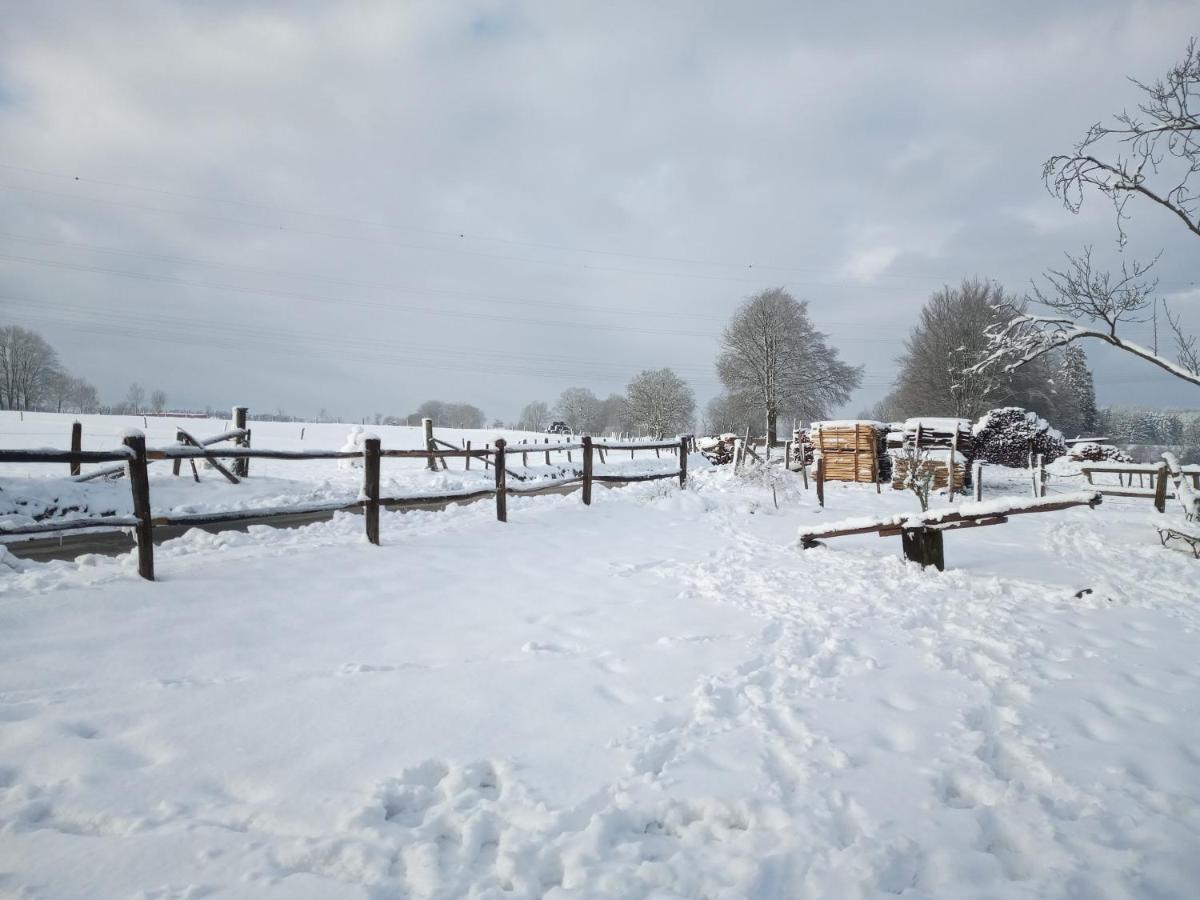 Gite Le Cheval Ardennais Gouvy Exteriör bild